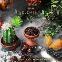 Табак для кальяна "Элемент" aroma Cactus Fig линейка "Вода" 40гр.